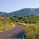 A street surrounded by vegetation leading to Mount Pantokrator in Corfu, Greece
